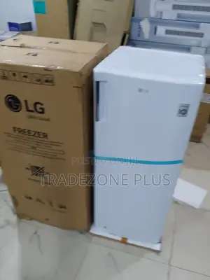Lg Gn-304sqbr 165l Freezer – Ideal for Everyday Use