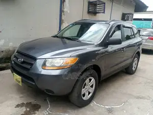 Hyundai Santa Fe 2009 Blue