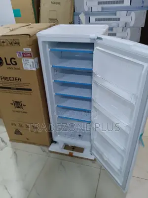 Lg Gn-304sqbr Freezer – Built for Efficiency Convenience