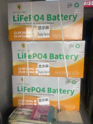 Original Ecolion Lithium Lon Battery 4kwh 24v