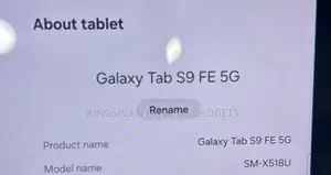 Samsung Galaxy Tab S9 FE 128 GB Gray