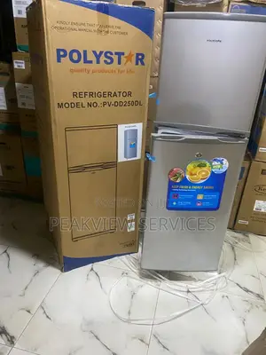 Polystar Pv-Dd250dl Refrigerator With 250l Space