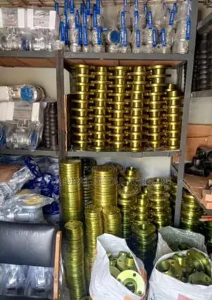 Stainless Steel Elbow and Flanges