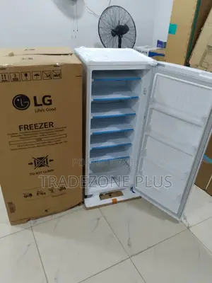 Lg Gn-304sqbr Upright Freezer – Clean Organized Storage