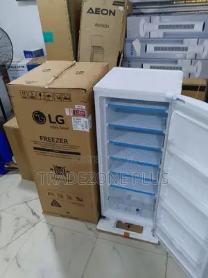 Lg Gn-304sqbr Freezer – Modern Vertical Freezer Design