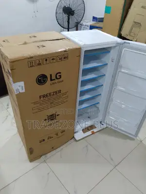Lg Gn-304sqbr Freezer – Convenient Door Storage Included