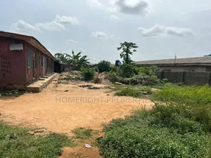 Full Plot of Land 60 by 120 Ft