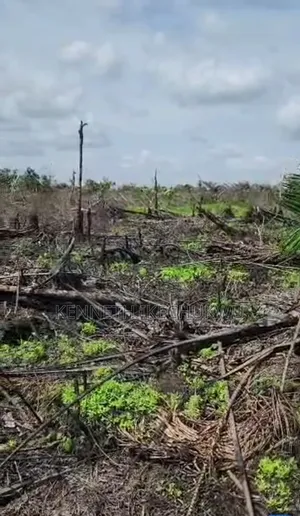 Land for Sale at Iyana Isashi