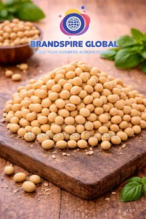 Soya Beans