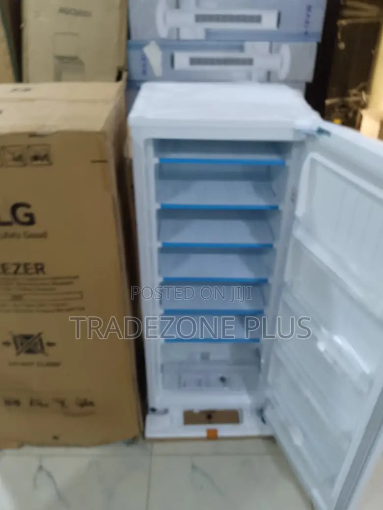 Lg Gn-304sqbr Freezer – Practical Storage Solution