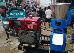300kg Pelletizer Machine