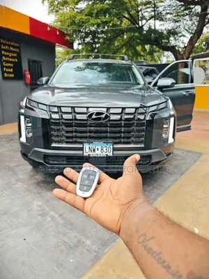 Hyundai Palisade XRT 2024 Gray
