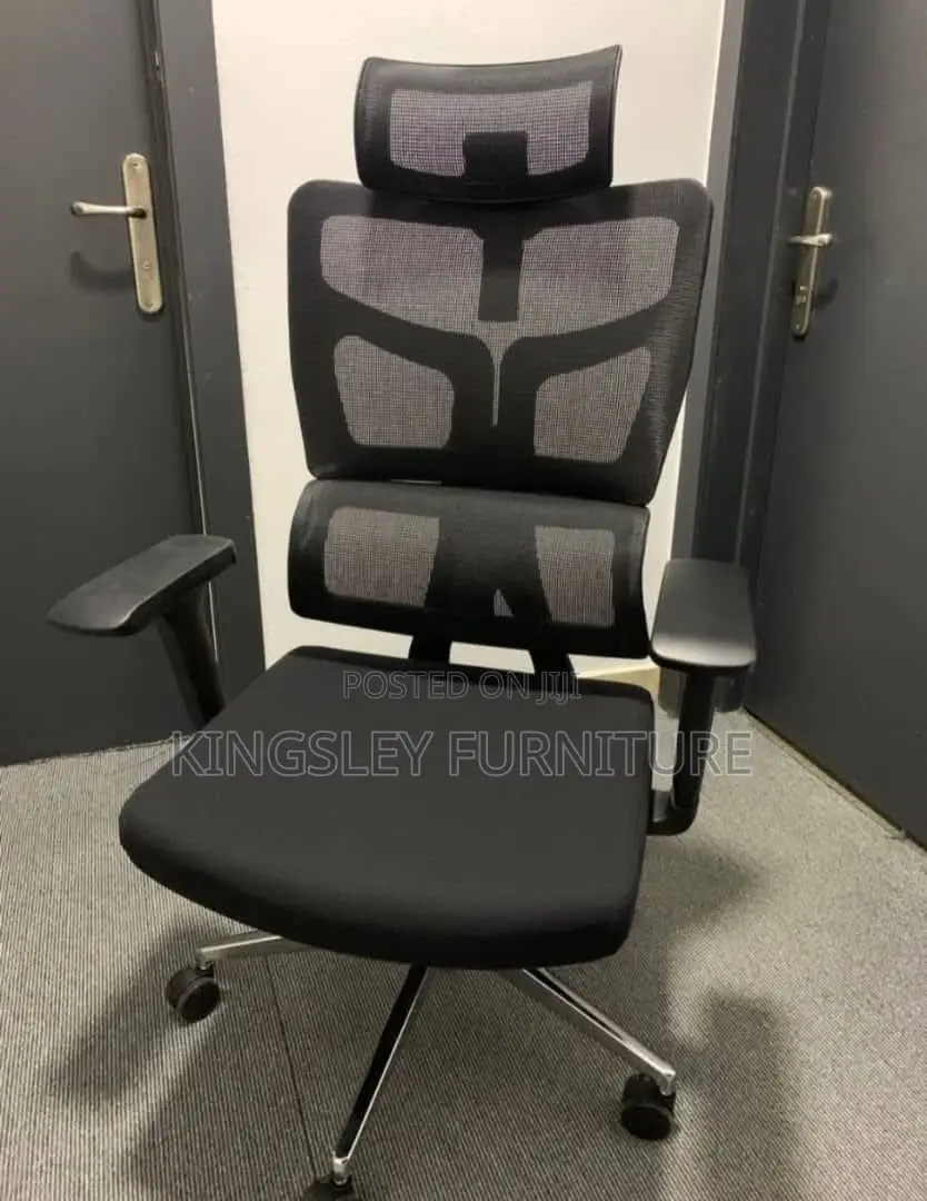 Ergonomy Net Office Chair