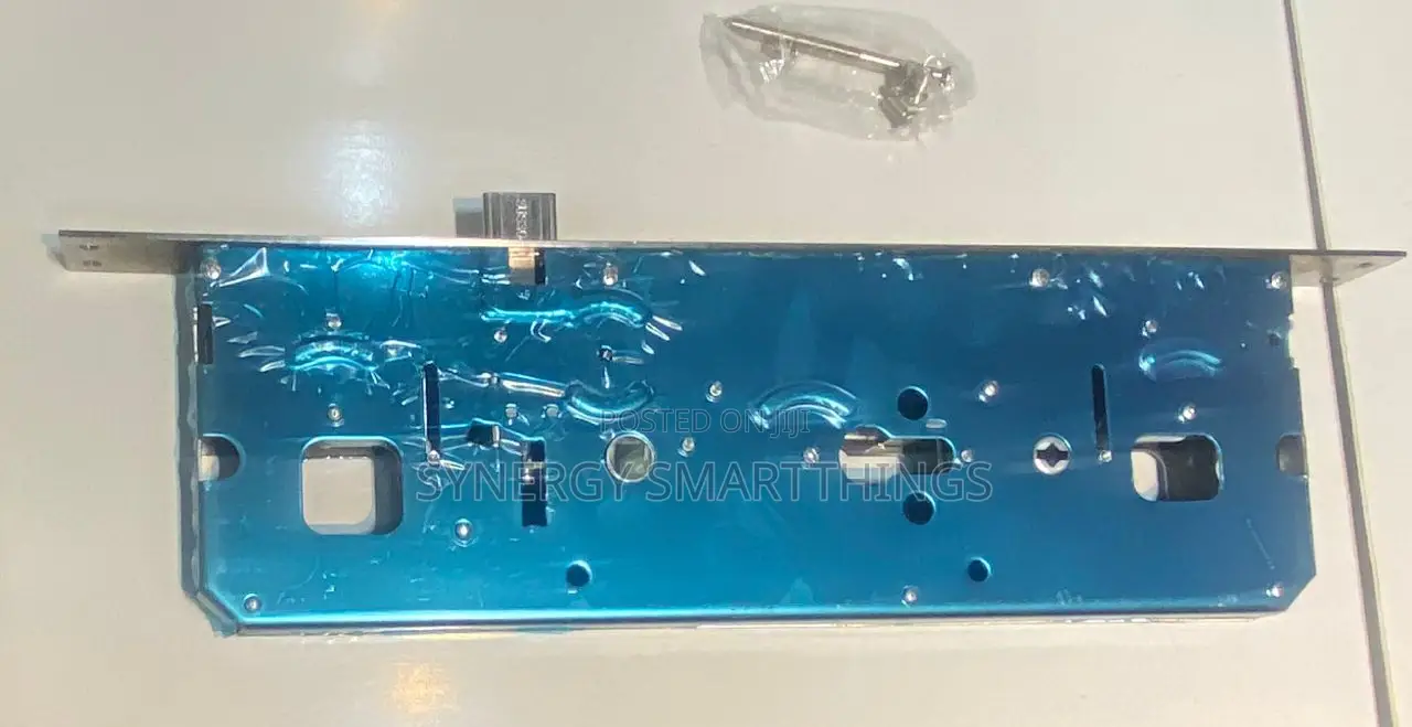 Smart Door Lock Mortise Security
