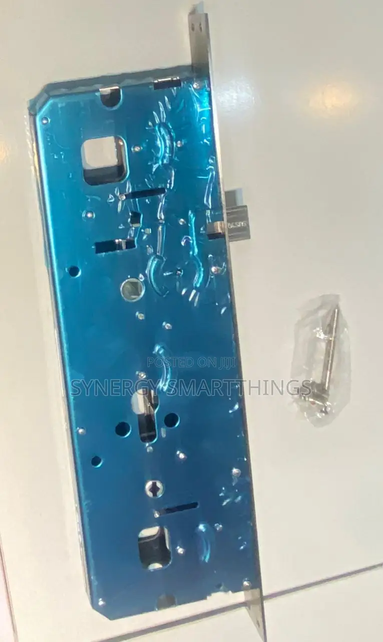Smart Door Lock Mortise Security