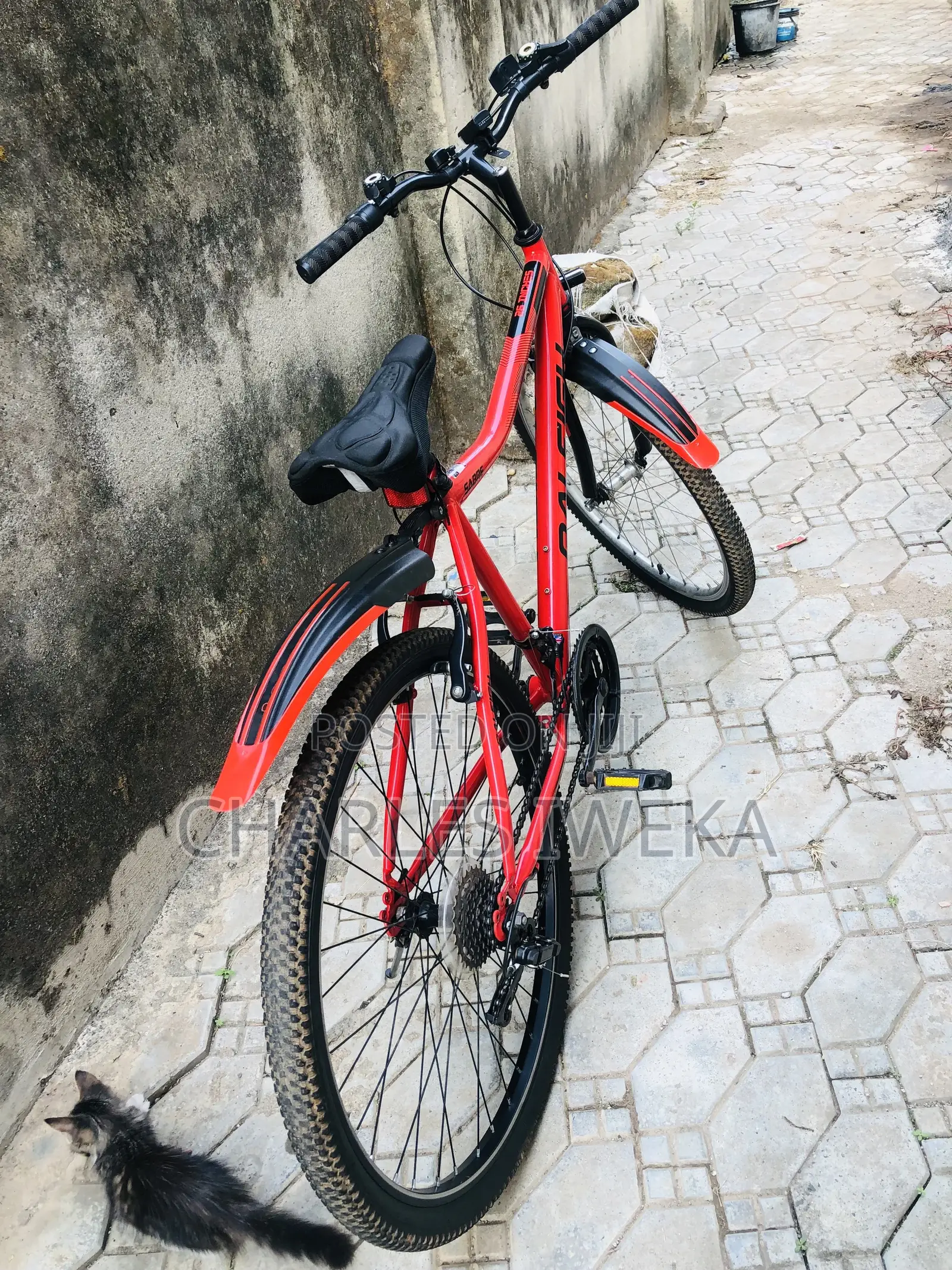 26” Raleigh Sabre Mountain Bike