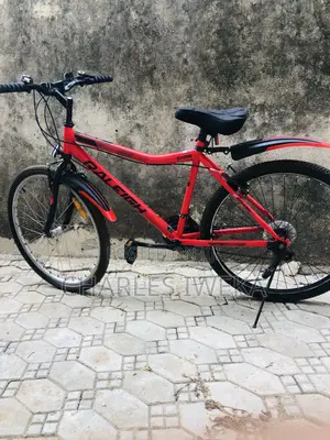 26” Raleigh Sabre Mountain Bike