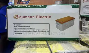Bauman Electric 200ah 12v