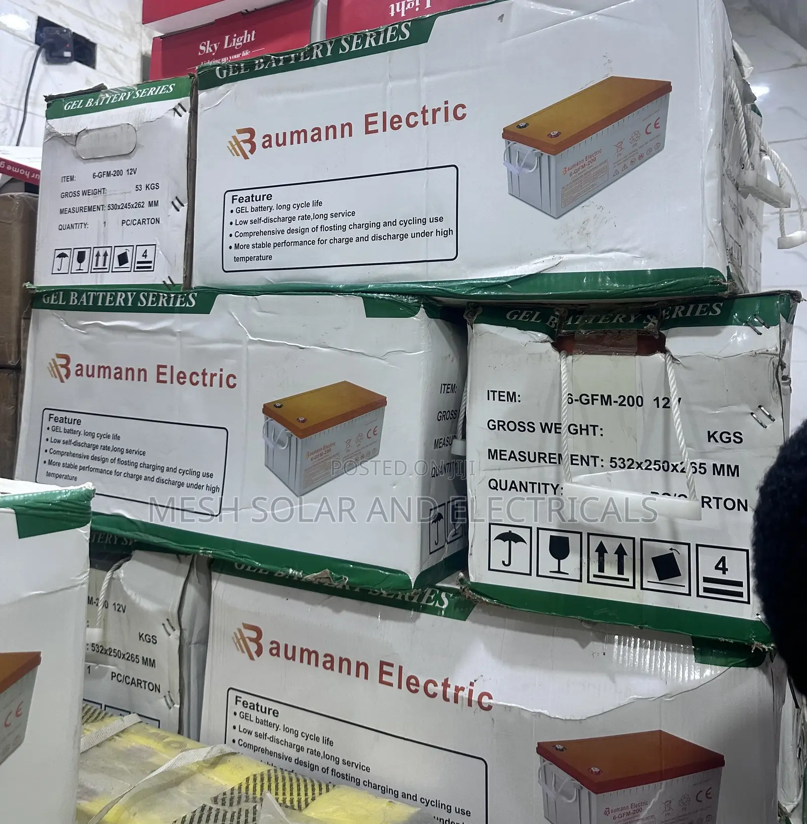 Bauman Electric 200ah 12v
