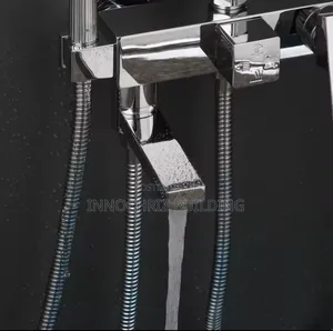 Stainless Shower