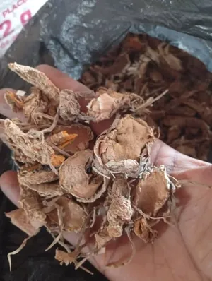 Hot Sale  Premium Turmeric in Bulk – Limited Stock