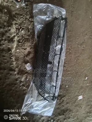 Front Bumper Net for Gle Coupe W292