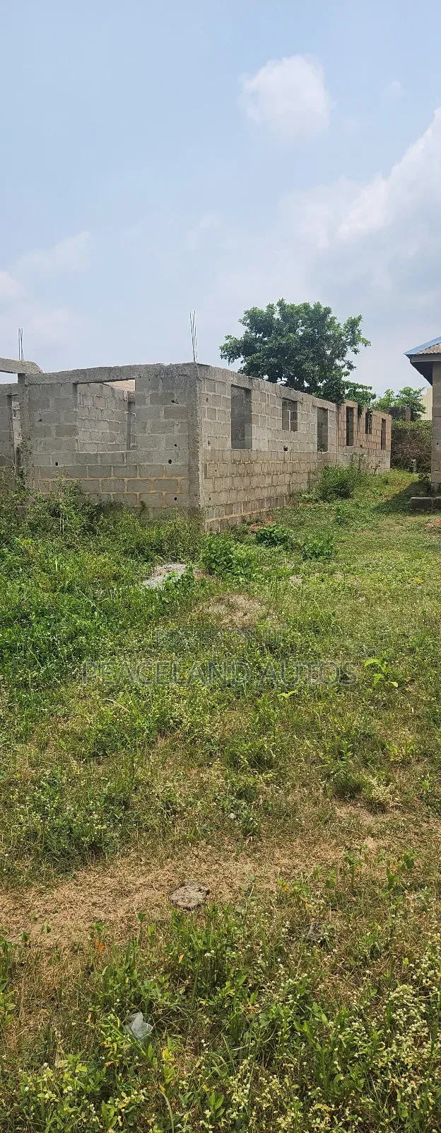 Half Plot of Land