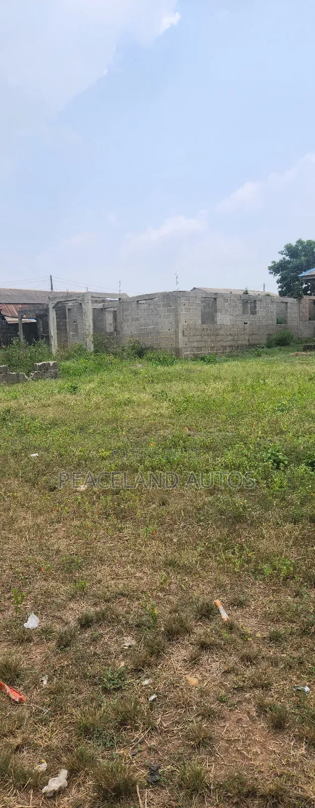 Half Plot of Land