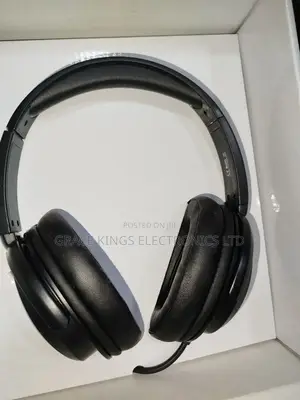 Takstar Headphones