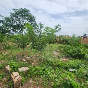A Plot of Land at Ojimi Apata