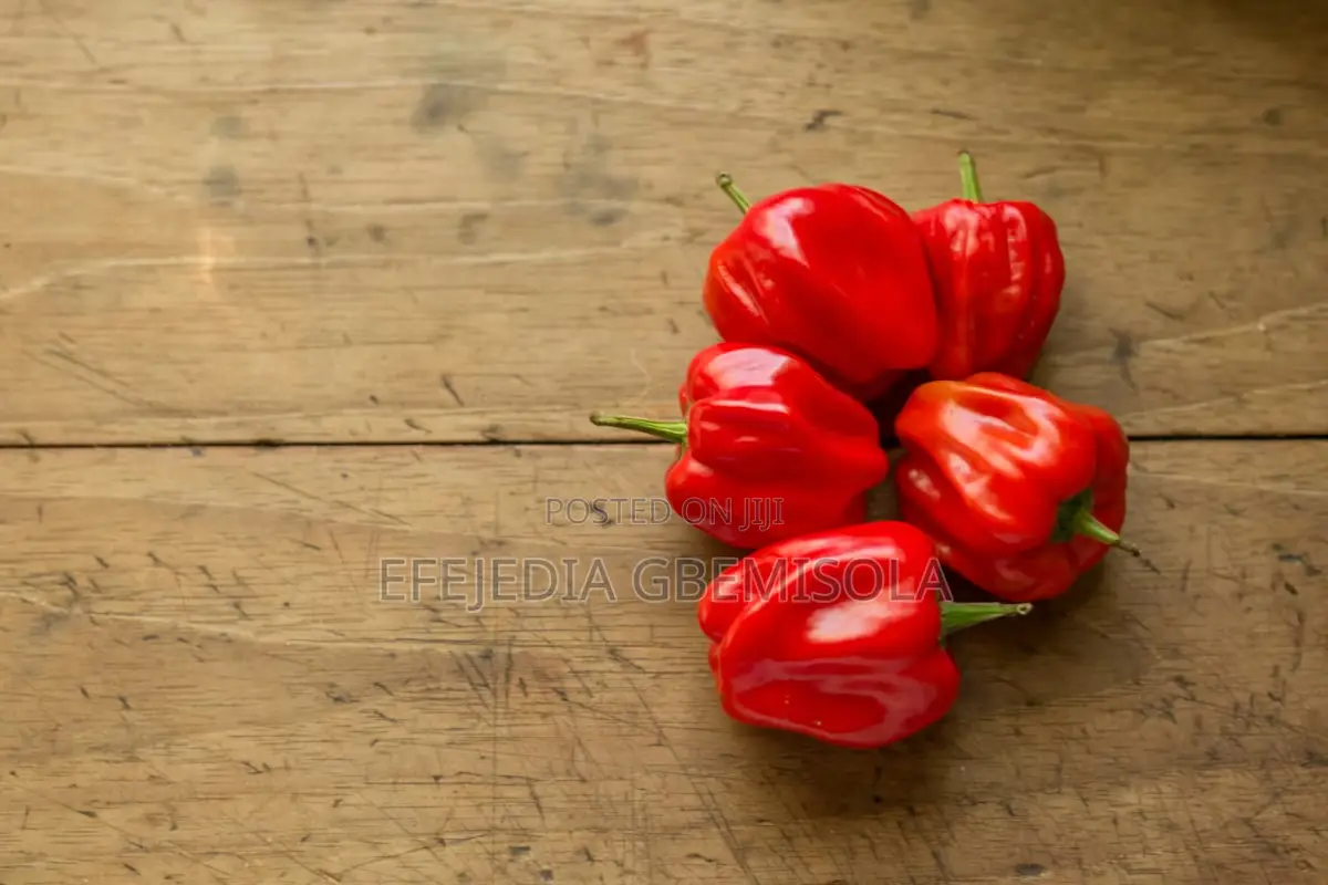 Habanero Pepper