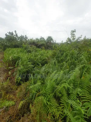 Good Land for Sale at Eleko