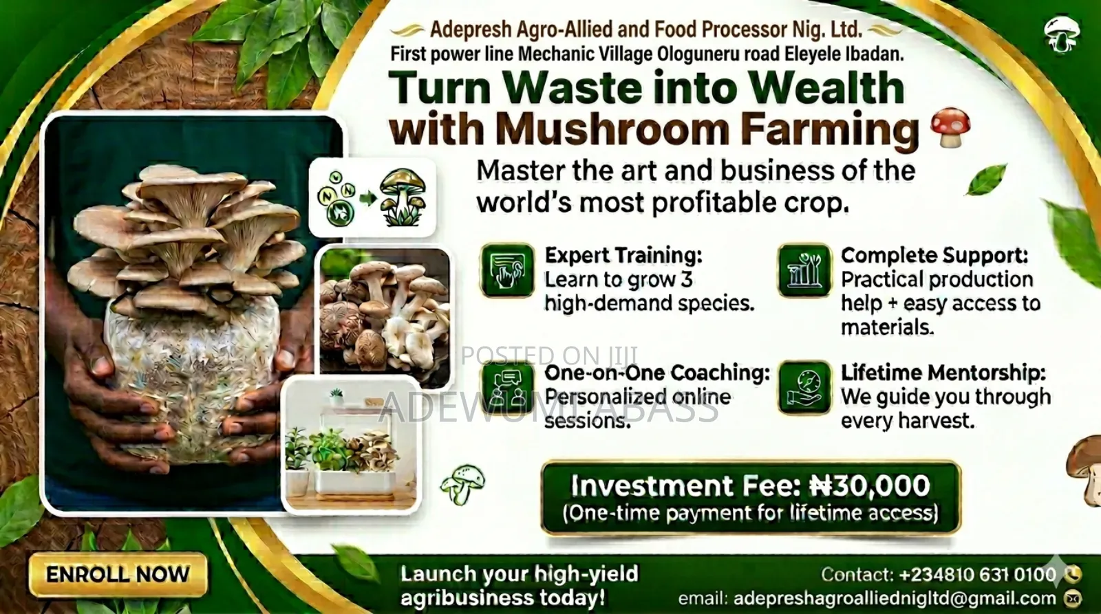 Mushroom Training