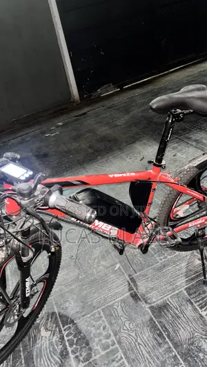 Electric Bicycle