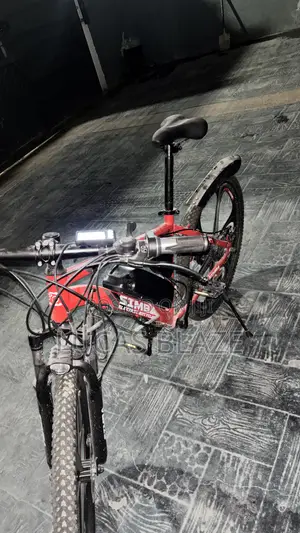 Electric Bicycle