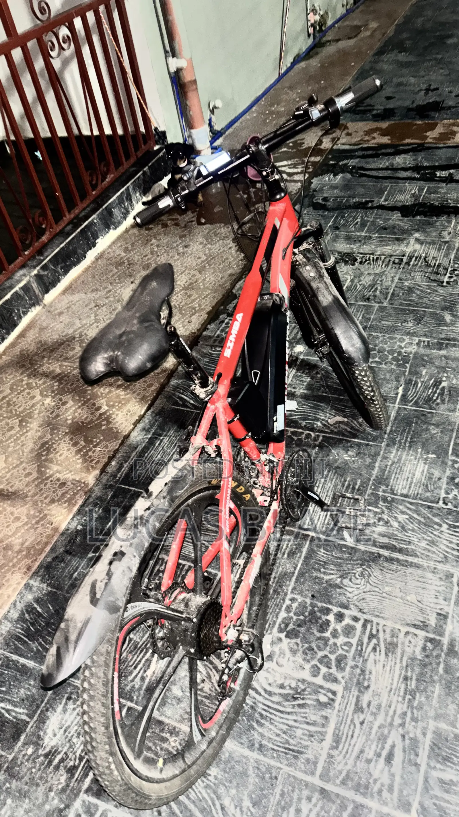 Electric Bicycle