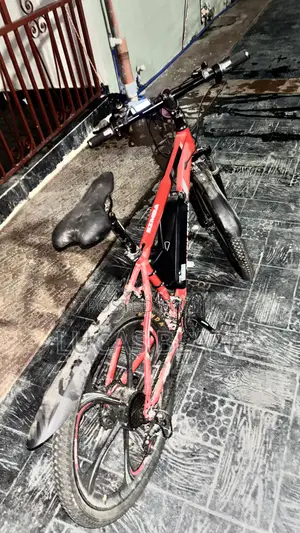 Electric Bicycle