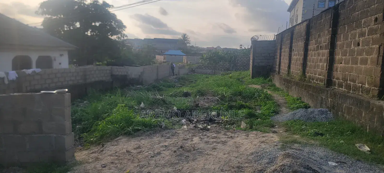 Half Plot of Land
