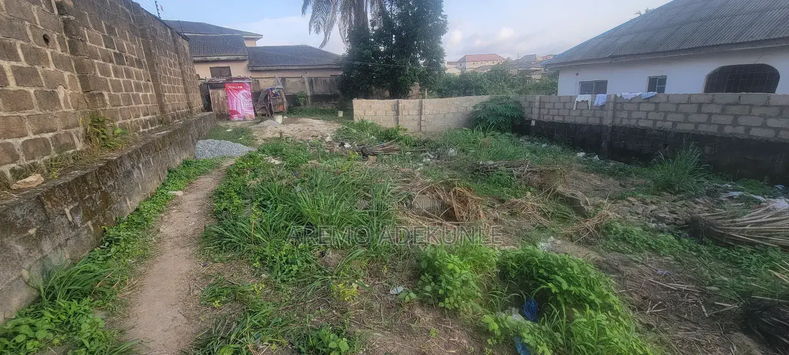 Half Plot of Land