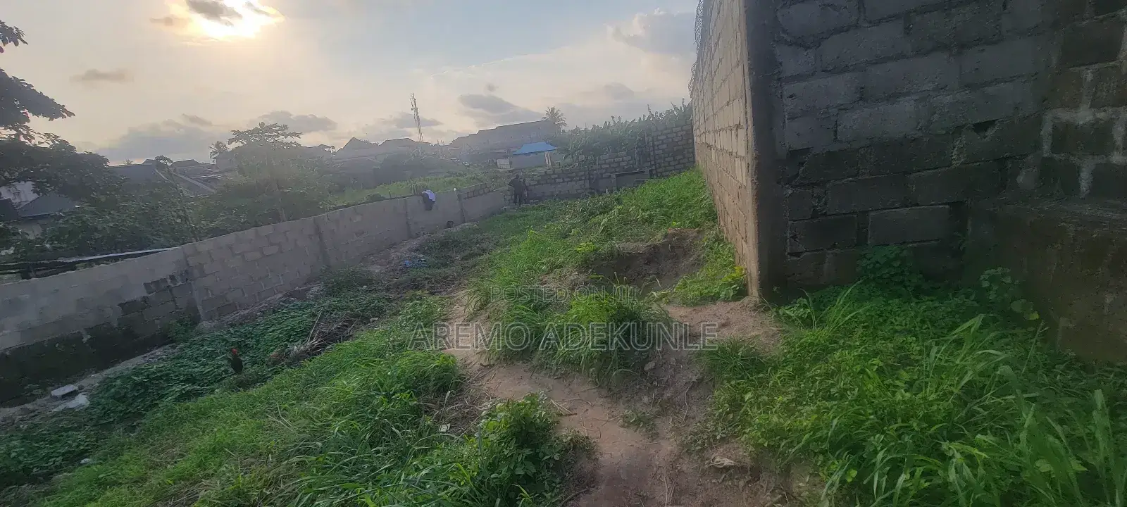 Half Plot of Land