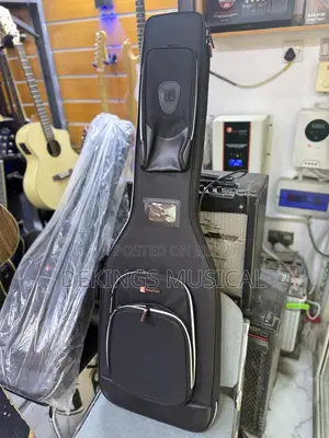 Professional Bass Guitar Bag