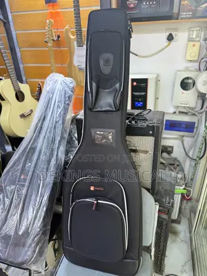 Professional Bass Guitar Bag