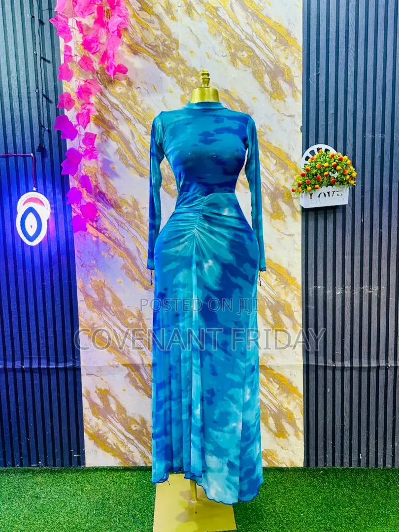 Mesh Bodycon Gowns
