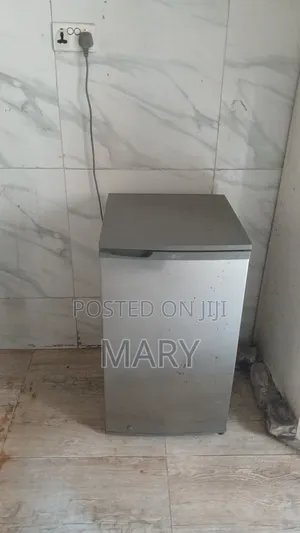 Lg Fridge for You Room