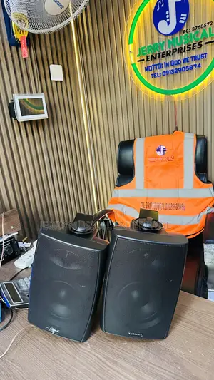 Outdoor/Indoor Hanging Speakers