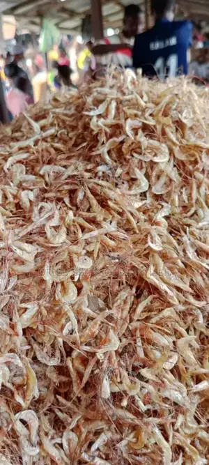 Clean Oron Crayfish