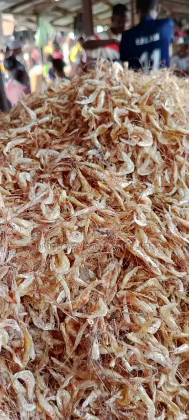 Clean Oron Crayfish