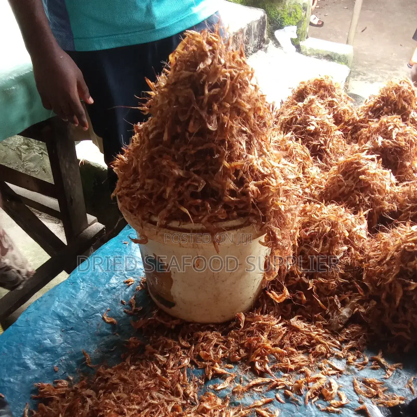 Clean Oron Crayfish
