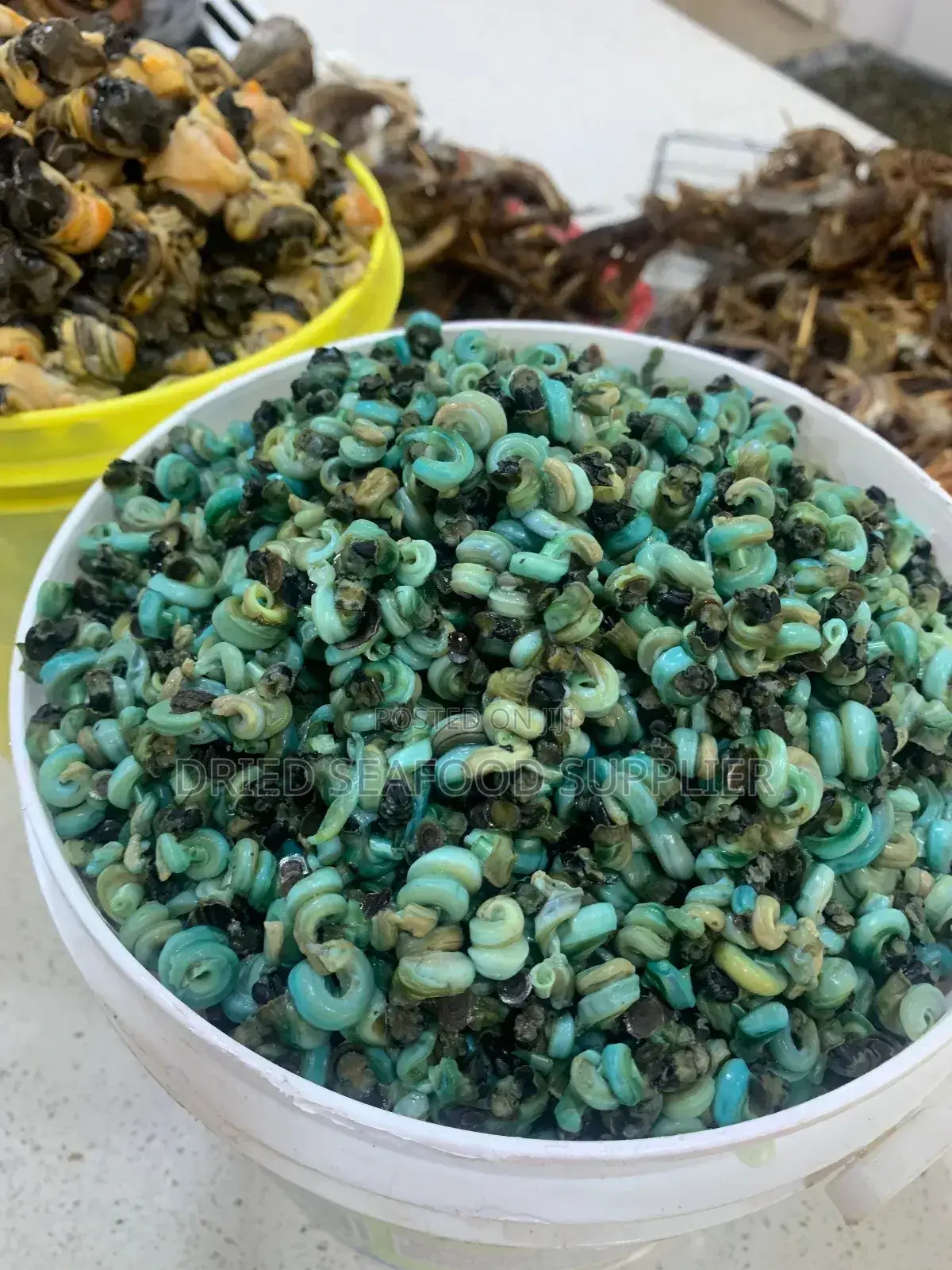 Fresh/Dried Perewinkel
