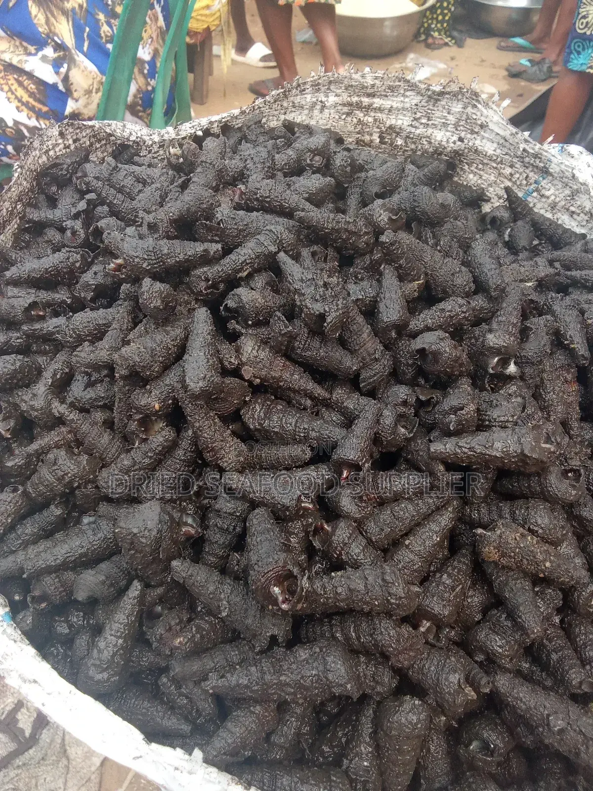 Fresh/Dried Perewinkel